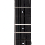 Bog Oak